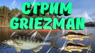 РР3 СТРИМ  Ночь,киты ,СТрииим.
