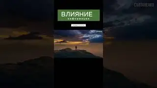 влияние информации #салтаненко #спасение