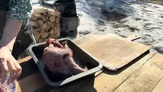 МЯСО ГУСЯ + РИС приготовление в казане