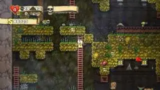 Spelunky Co op Yama