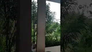 Barish ka mosam #barish #barish_ban_jana_shilpi_raj