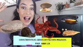 TERCEIRO ANO - FILO DO MOLUSCOS: CARACTERÍSTICAS GERAIS - PROF.  ANNA LIA