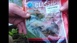 Сыпанул это и карась ожил .Рыбалка в тёплые дни Октября . РЫБАЛКА  на поплавочную удочку с берега  .