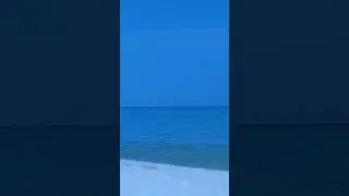 Crab walk! | Little crab saying Hi!!!