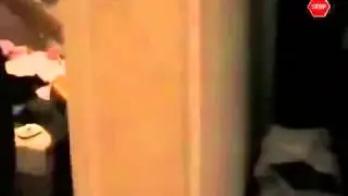 Чуваки сдурели совсем Прикол