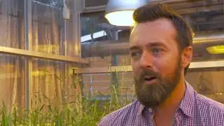 MASTERCLASS Engage to Innovate - Dr Lee Hickey