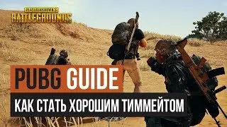 Лучший тиммейт в PUBG и других соревновательных играх