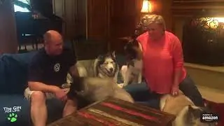 Erik & Blair's review of The Gift For Life with their dogs   Erik and Blair sent us this video of