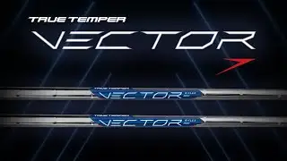 Introducing Vector