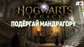 Hogwarts Legacy ➤ Ботаника это не моё)