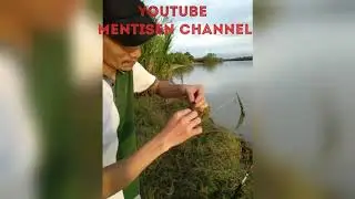 ikan pari yg di cari. Ikan ini plk dapat.
