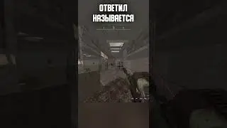 НА СЕКУНДУ ОТВЛЕКСЯ В ЧАТ📲 #shorts #игры #сталкер #сталкрафт #rust #minecraft #gaming #stalcraft
