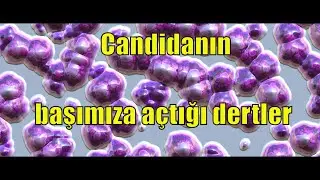 CANDIDA MANTARININ BASIMIZA ACTIGI DERTLER ! (kandida mantarının yol açtıgı hastaliklar)