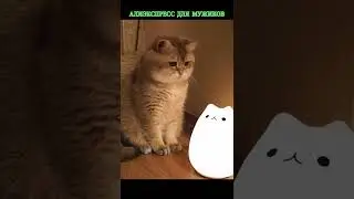 Светильник Эврика 
