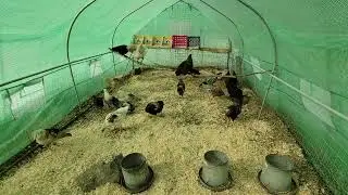 nesting boxes