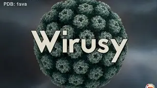 Wirusy