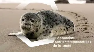 [Teaser] Module Médecine et Santé environnementale