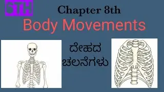 Body Movements-ದೇಹದ ಚಲನೆಗಳು 6th Standard Science State Syllabus Chapter 8