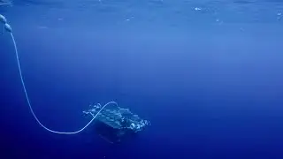 Mining the Deep Sea - Trailer