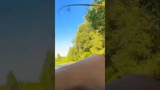 ✅МОЛНИЕНОСНАЯ АТАКА ЩУКИ !!!#рекомендации #топ #рыбалка