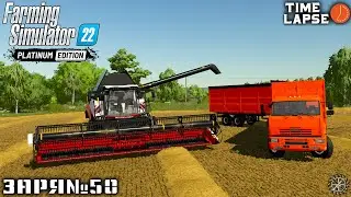 Юбилейная СЕРИЯ, уборка урожая ПШЕНИЦЫ на РСМ-161 и КамАЗ-6520 | FS22 | Заря - Timelapse #50