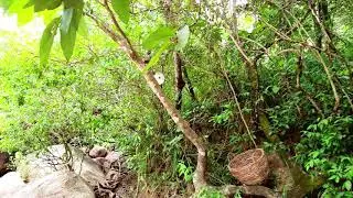 RIO UNA, EM MORROS/MARANHÃO