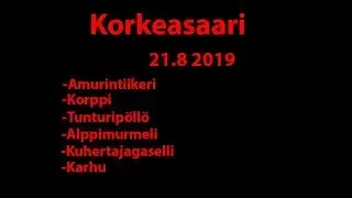 Korkeasaari 21.8 2019