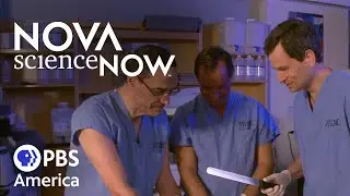 How Smart Can We Get? (2012) FULL SPECIAL | NOVA | PBA America
