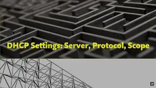DHCP Properties and Options at the Server, Protocol and Scope Level
