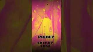'Pricey' - UK Drill Beat - Purchase in comments #drill #typebeat #stormzytypebeat #ukdrilltypebeat