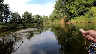 Выезд на рыбалку. Ловля голавля взабродку неподалёку от города.