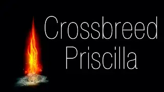 SL1 One Shot Boss Challenge - Crossbreed Priscilla