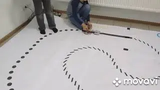 BlackLineRacer Робофинист 2019