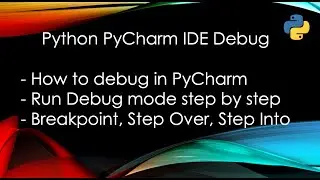 Python PyCharm IDE - How to run in debug mode?  Beginner Lesson (