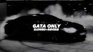 Gata Only (Slowed And Reverb)