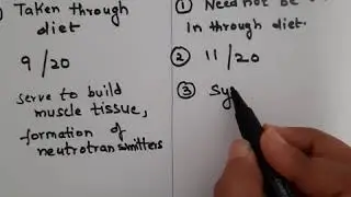 Difference between essential and non essential amino acid