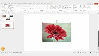 How to Add Photo Frames in PowerPoint
