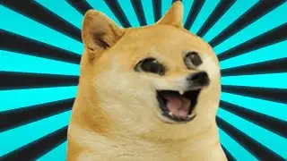 Doge Goes on an Easter Egg Hunt