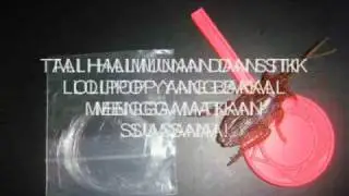 video panas.wmv