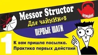 Муравьи с нуля! Messor structor. Для чайников! №1