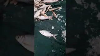 На рыбалке,в Бикбулово!