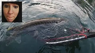 Giornata a lucci sul Lago maggiore