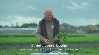 PV985 - Beans | Product Demo Video (EN)