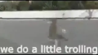 we do a little trolling