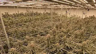 No Till Kings Garden Tour Intro