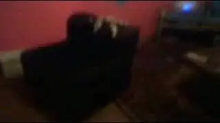 Moj Persijanac macak me ceka