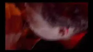 The Jesus and Mary Chain - Snakedriver (Live 1993)