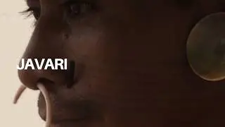 Projeto Javari