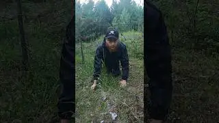 Грибы сами меня нашли! #выживалыч