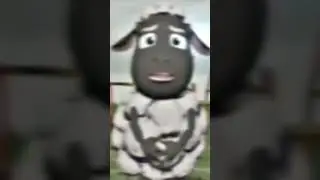 почему это так смешно 